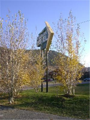 ג'קסון Teton Gables Motel מראה חיצוני תמונה